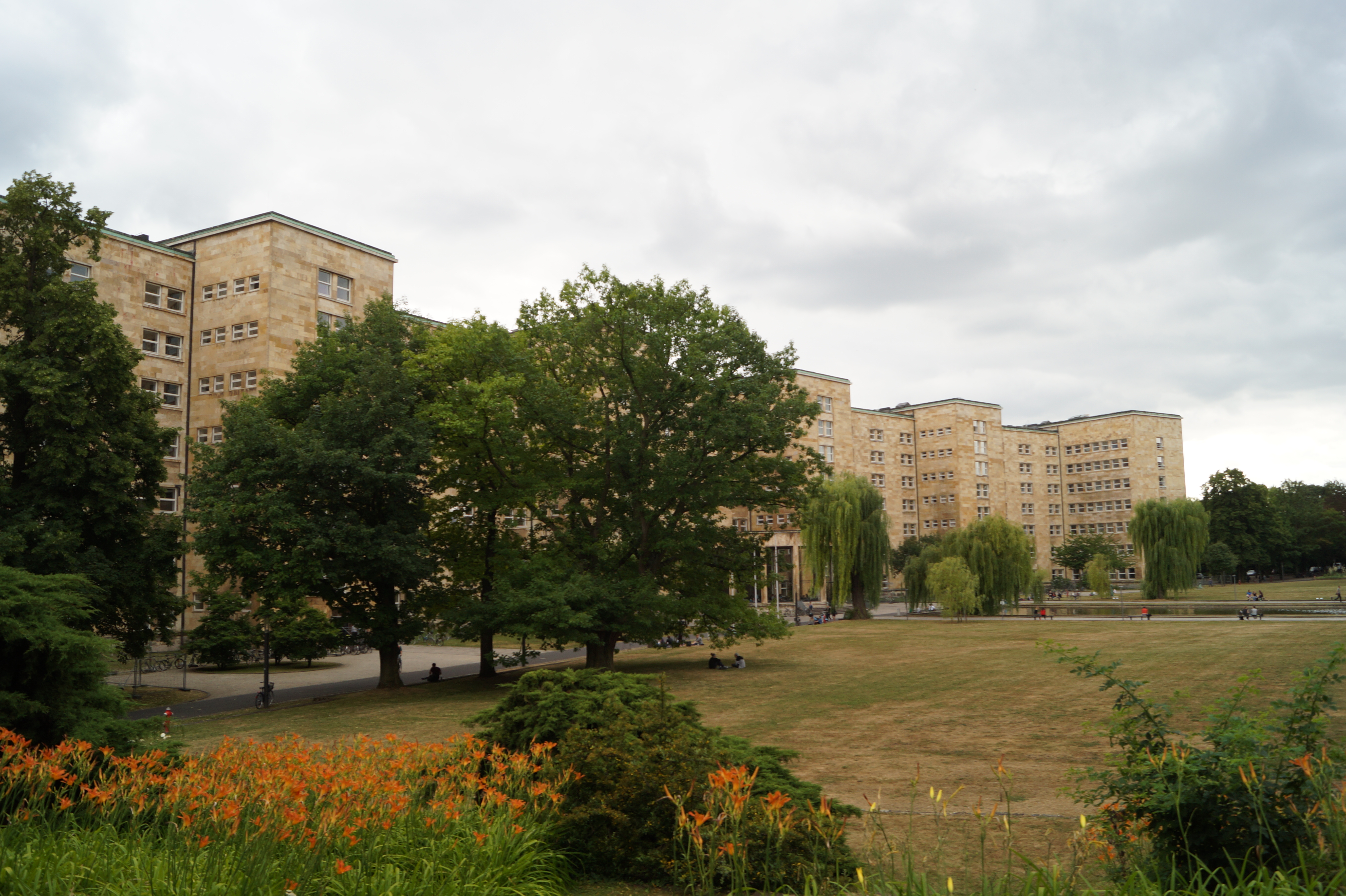 Institut Fur Linguistik Goethe Universitat Frankfurt